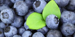 Blueberries