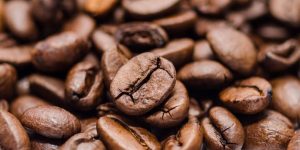 Cocoa Beans