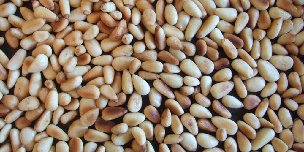 Pine Nuts
