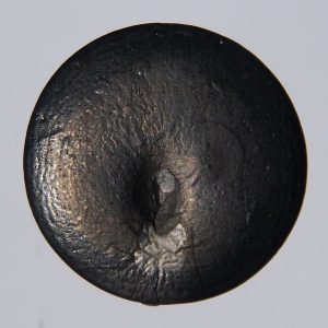 Selenium