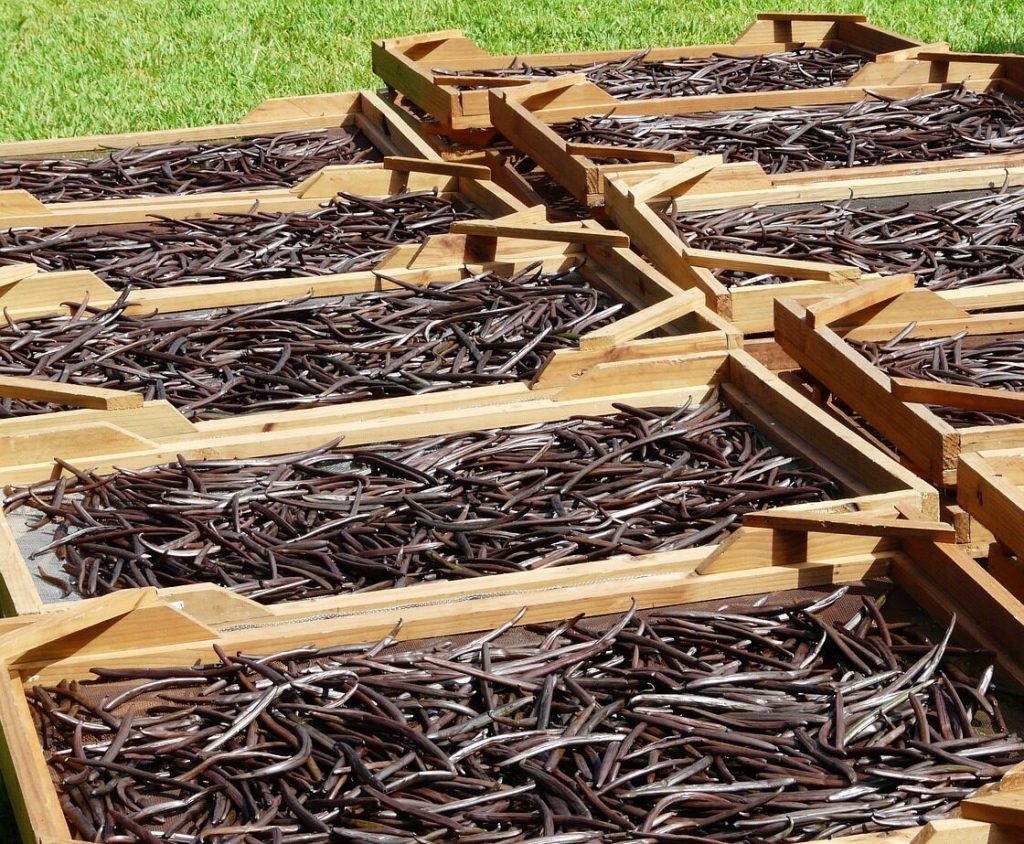 Vanilla Beans